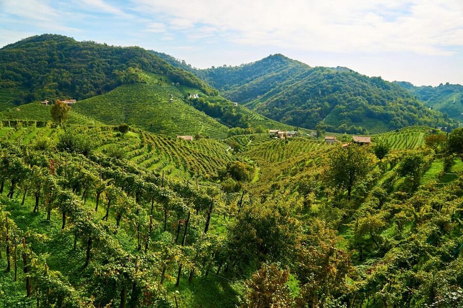 From Venice: Wine and Food tour in the Prosecco Hills - Four Proseccos with local food