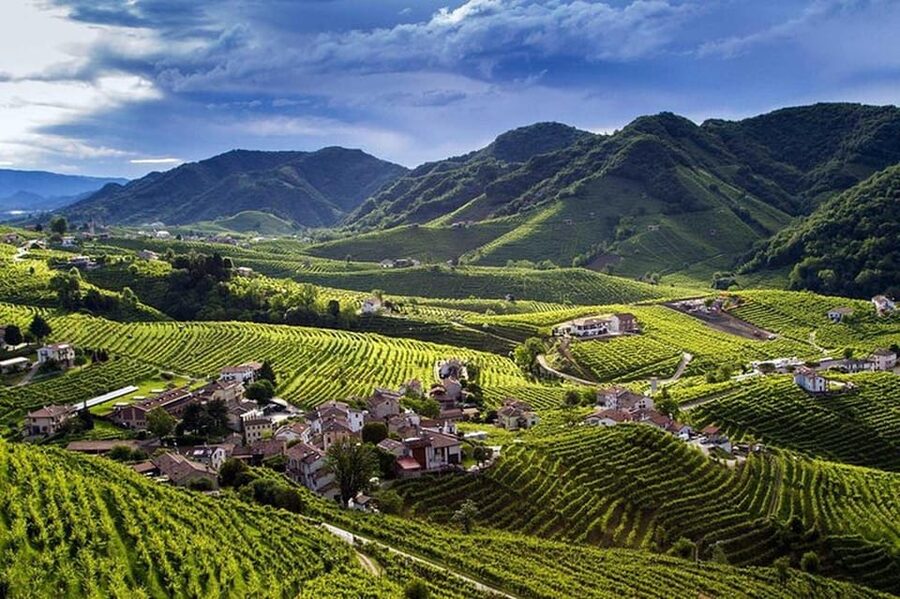 From Venice: Wine and Food tour in the Prosecco Hills - Who will enjoy this most