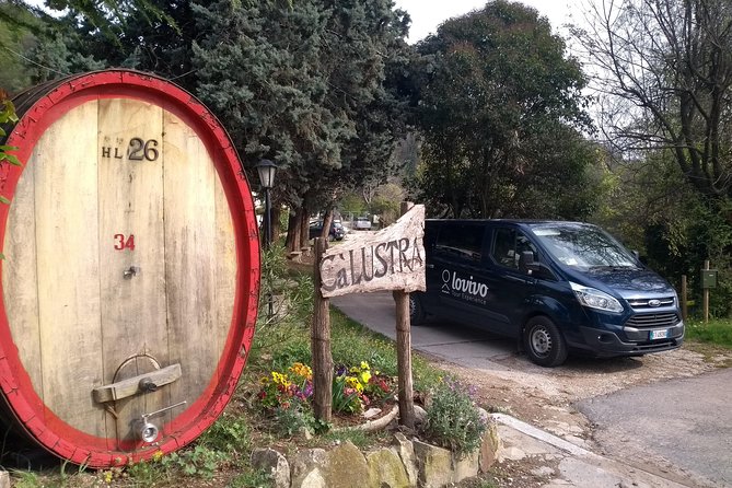 From Venice: Wine Tour in the Euganean Hills - First winery visit: vineyard, cellar, and local food