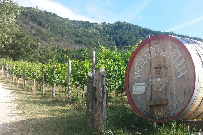 From Venice: Wine Tour in the Euganean Hills - The second estate and what the tasting adds