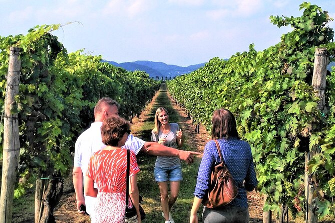 From Venice: Wine Tour in the Euganean Hills - What the guide adds to the experience