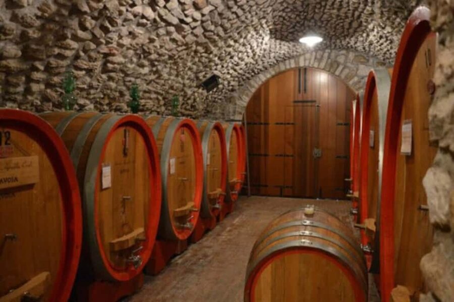 From Verona: Amarone Half-Day Wine Tasting Tour - Who should book this Valpolicella outing?