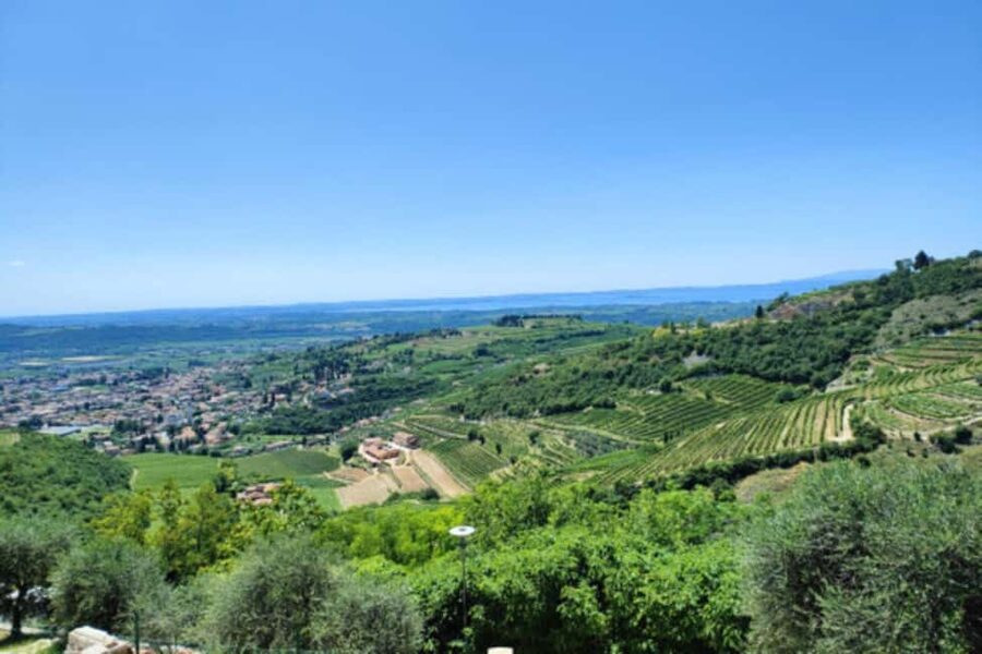 From Verona: Amarone Half-Day Wine Tasting Tour - The ride from Verona to San Giorgio