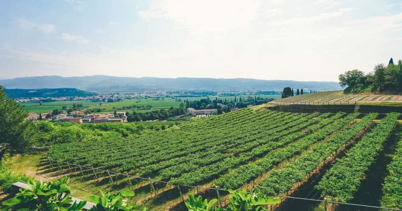 From Verona: Amarone Wine E-Bike Tour with Tasting - Is $130.28 a fair price?
