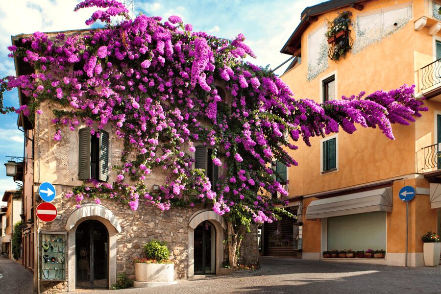 From Verona: discover Lake Garda and Sirmione private tour - From Verona to Sirmione in a private van