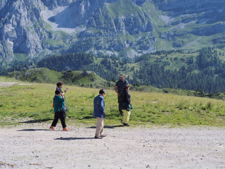 From Verona: Full-day Dolomites Mountains Guided Tour - Who will enjoy this Dolomites day trip