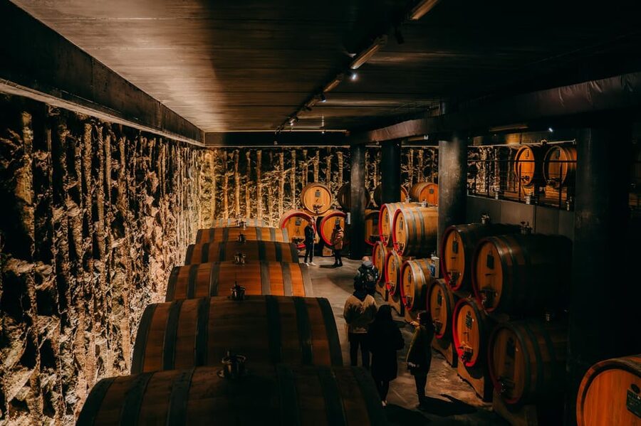 From Verona: Valpolicella and Amarone Wine Tasting Tour - The short ride between two different wineries