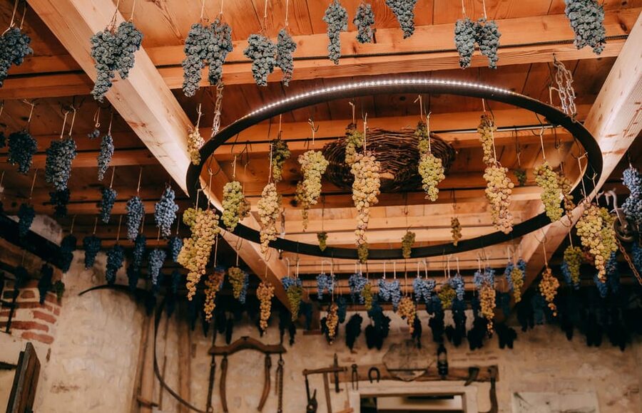From Verona: Valpolicella and Amarone Wine Tasting Tour - Why the guide makes a difference