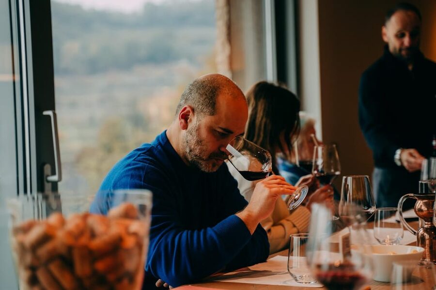 From Verona: Valpolicella and Amarone Wine Tasting Tour - What you are paying for at $112.15