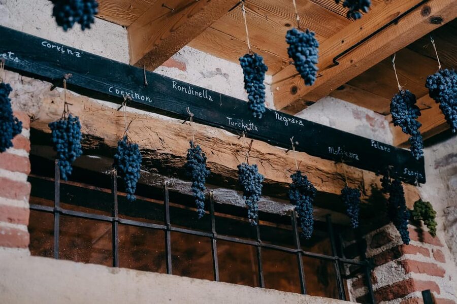 From Verona: Valpolicella and Amarone Wine Tasting Tour - Practical details before you book