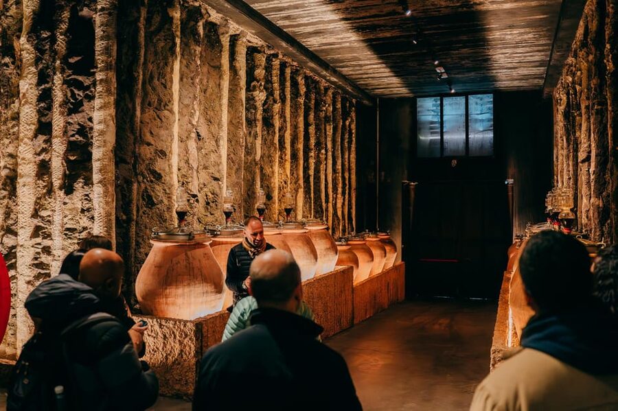 From Verona: Valpolicella and Amarone Wine Tasting Tour - First cellar: understanding how Amarone is made