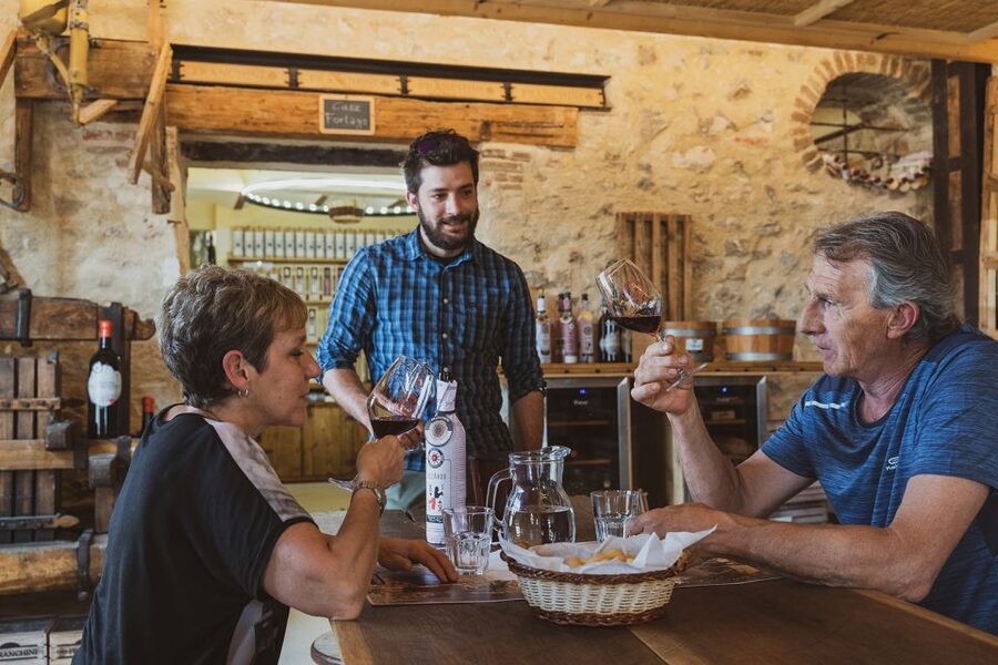 From Verona: Valpolicella Winery Tour with Amarone Vintages - The barrique cellar and years of refinement