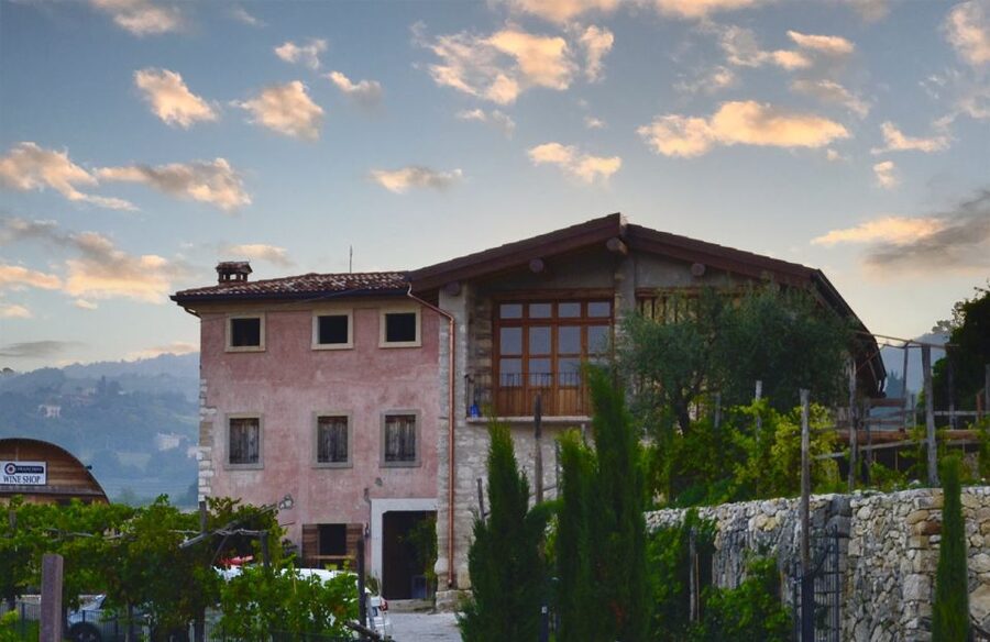From Verona: Valpolicella Winery Tour with Amarone Vintages - A tour shaped by the guide