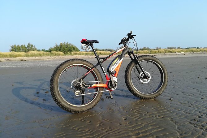 Full Day Venice E-Bike Rental - Key points at a glance