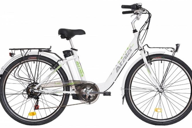 Full Day Venice E-Bike Rental - Why Lido is the right place to ride