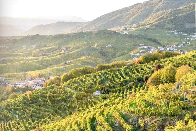 Full Day Wine Tour and Tasting in the Prosecco Region - The terrace near L’Osteria Senz’Oste