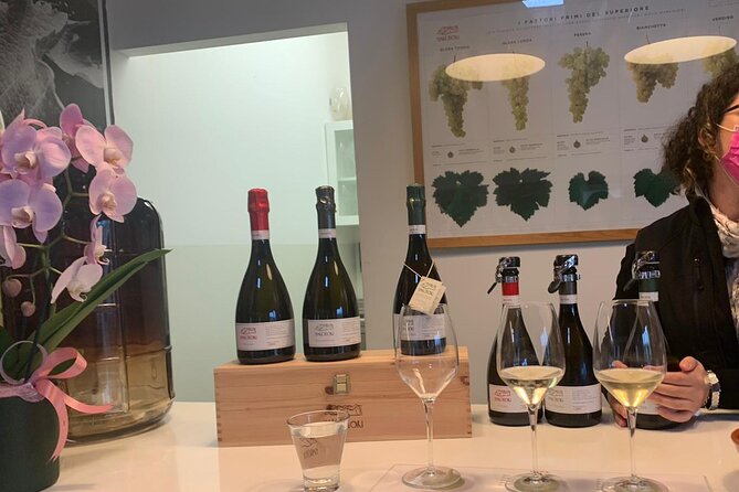 Full Day Wine Tour and Tasting in the Prosecco Region - What the guides add to the day