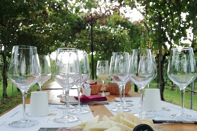 Full Day Wine Tour and Tasting in the Prosecco Region - A light lunch with regional flavor