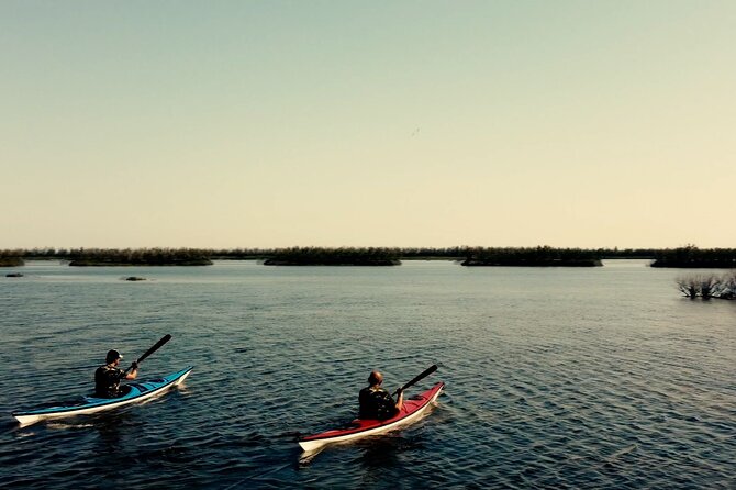 Guided excursion for small groups by kayak in Valle da Pesca - Key points at a glance