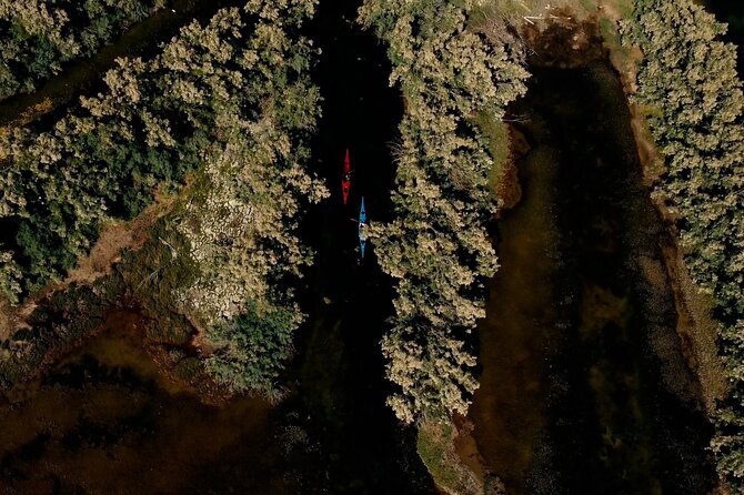 Guided excursion for small groups by kayak in Valle da Pesca - A two-hour route through water and reeds