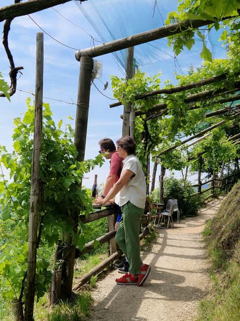 Guided Prosecco Tasting & Easy E-Bike Ride - Starting inside Casa Brunoro in San Pietro di Barbozza