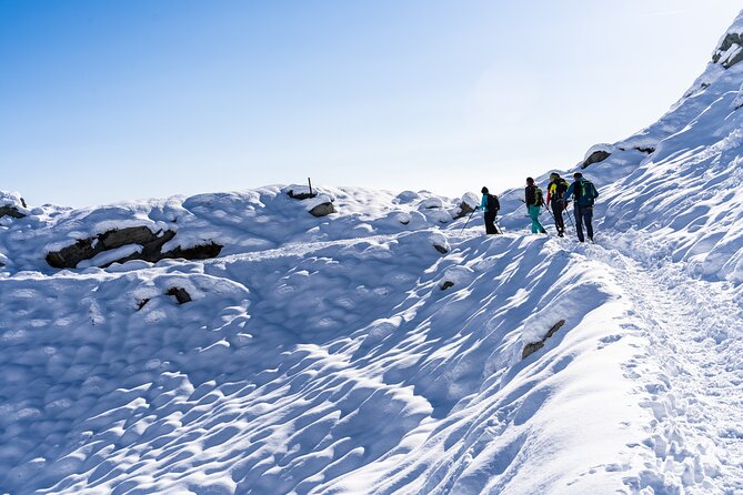 Guided Snowshoeing Day to Discover the Dolomites - Key points to know before you book