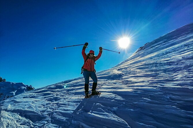 Guided Snowshoeing Day to Discover the Dolomites - A quiet way to meet the Dolomites in winter
