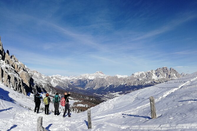Guided Snowshoeing Day to Discover the Dolomites - Walking through trees, tracks, and open mountain views