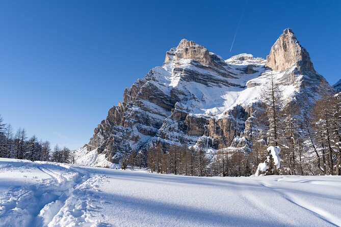 Guided Snowshoeing Day to Discover the Dolomites - The Five Towers and famous Dolomite peaks