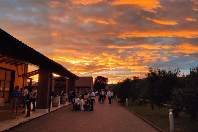 Guided Tour and Wine Tasting in the Sandro De Bruno Winery - Key points to know before booking