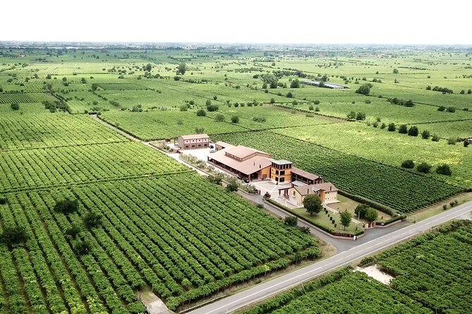 Guided Tour and Wine Tasting in the Sandro De Bruno Winery - What the guide adds to the experience