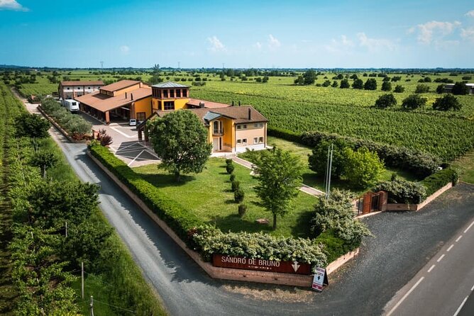 Guided Tour and Wine Tasting in the Sandro De Bruno Winery - Inside the underground barrel cellar