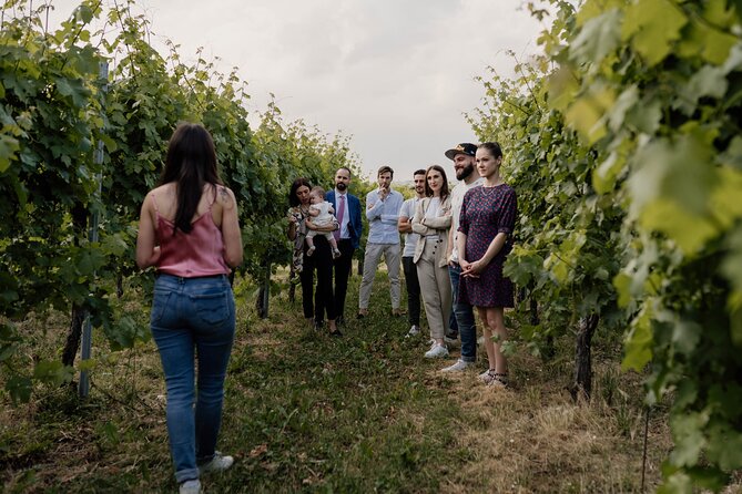 Guided Visit and Wine Tasting at the Winery in Veneto - The Wine Game Makes Tasting Less Intimidating