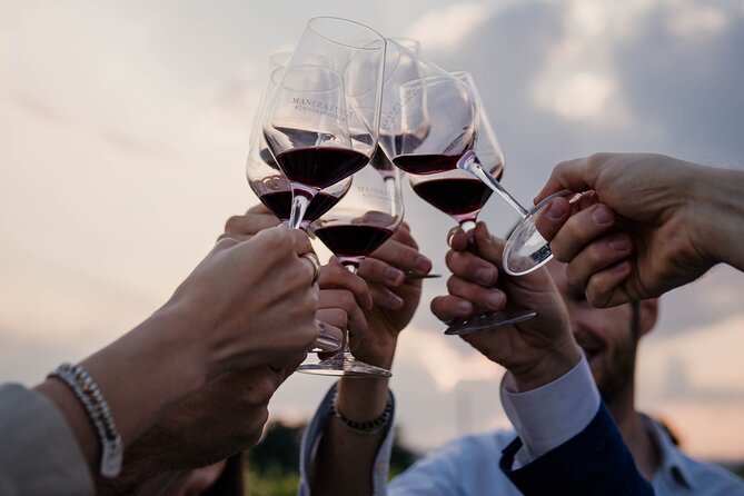 Guided Visit and Wine Tasting at the Winery in Veneto - Is $30.10 Good Value?