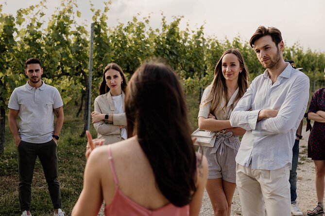 Guided Visit and Wine Tasting at the Winery in Veneto - Walking Through the Vineyard in Castelfranco Veneto