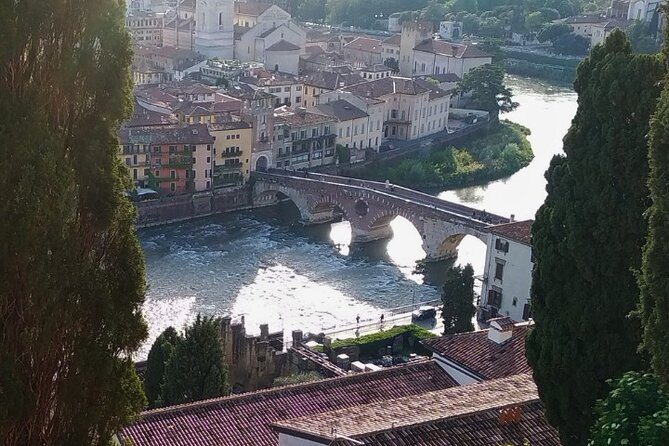 Guided Walking Tour on Verona Hillside - Giardino Giusti from the hillside