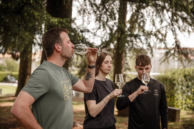 Half-Day E-Bike Tour in Prosecco Hills with Prosecco Tasting - Key points at a glance
