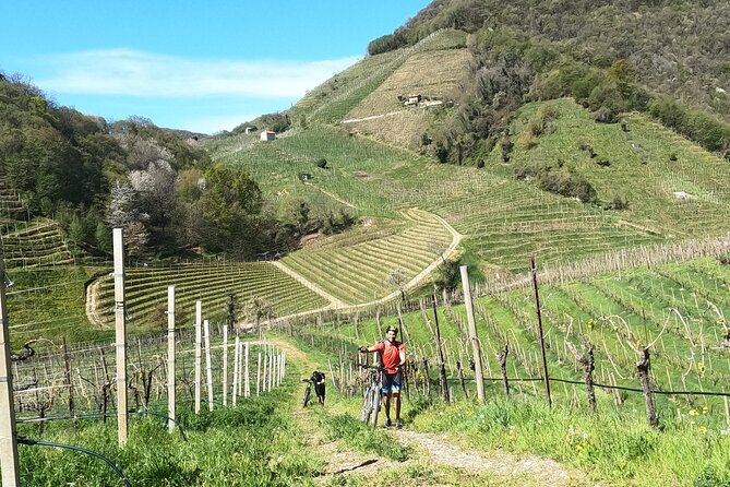 Half-Day E-Bike Tour in Prosecco Hills with Prosecco Tasting - The Prosecco Superiore ring and UNESCO views