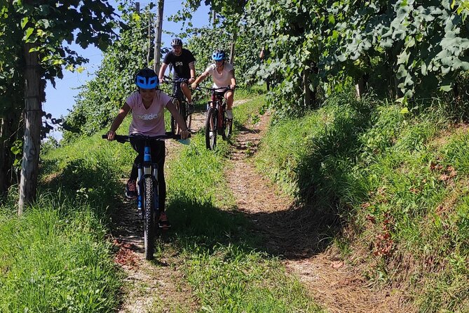 Half-Day E-Bike Tour in Prosecco Hills with Prosecco Tasting - Valdobbiadene tasting and local food