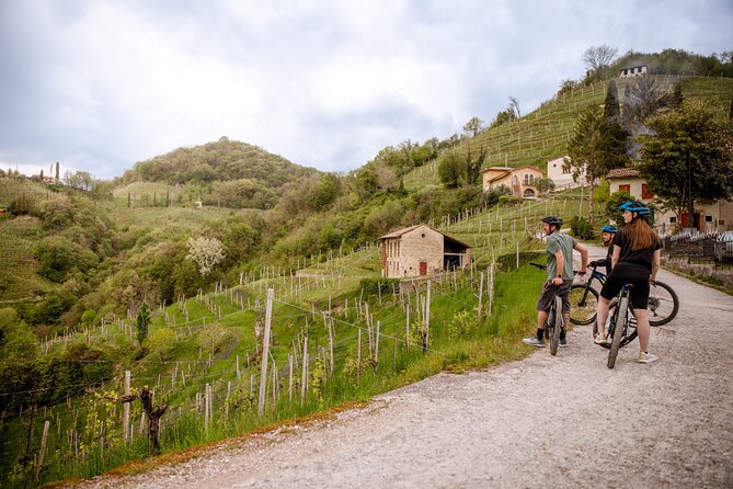 Half-Day E-Bike Tour in Prosecco Hills with Prosecco Tasting - Is $161.90 a fair price?