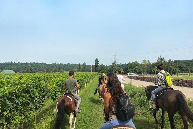 Horseback riding and wine tasting - Key points to know before you book