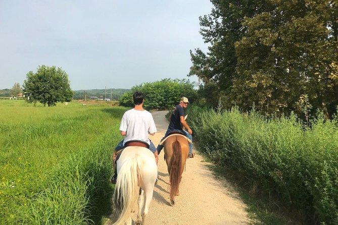Horseback riding and wine tasting - Meeting your horse and learning the basics