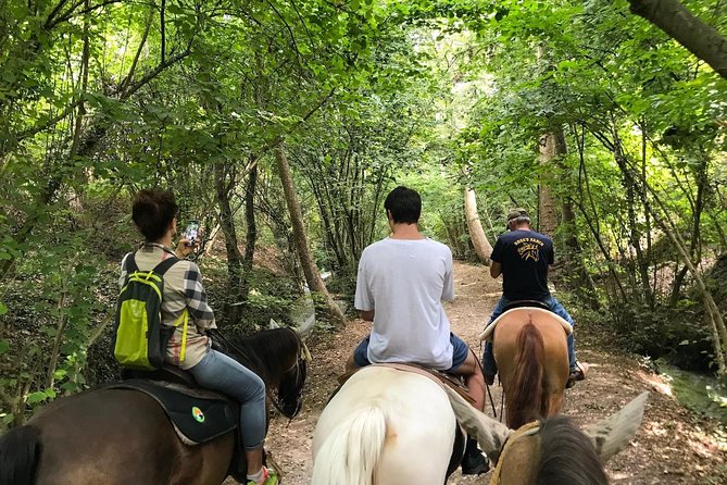 Horseback riding and wine tasting - Brushing the horse and saying goodbye