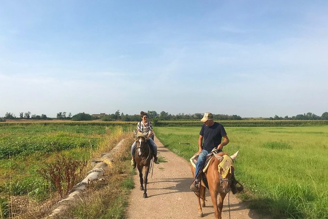 Horseback riding and wine tasting - Is the $190.63 price a fair deal?