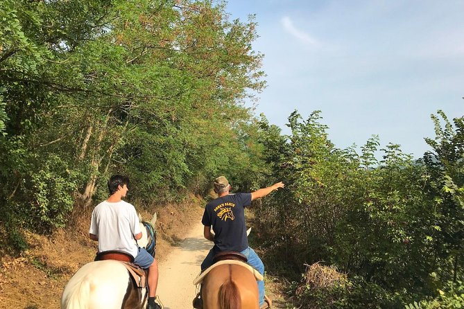 Horseback riding and wine tasting - Riding for an hour through the Custoza vineyards
