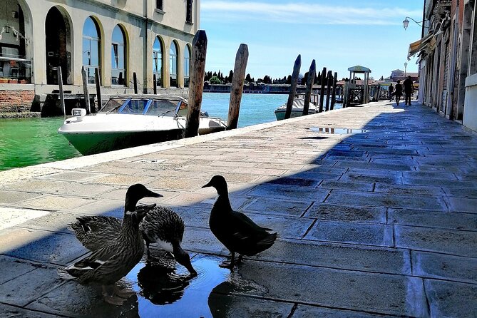 Island Hopping Tour: Mazzorbo, Burano and Murano - Tenuta Venissa and the rare Dorona grape