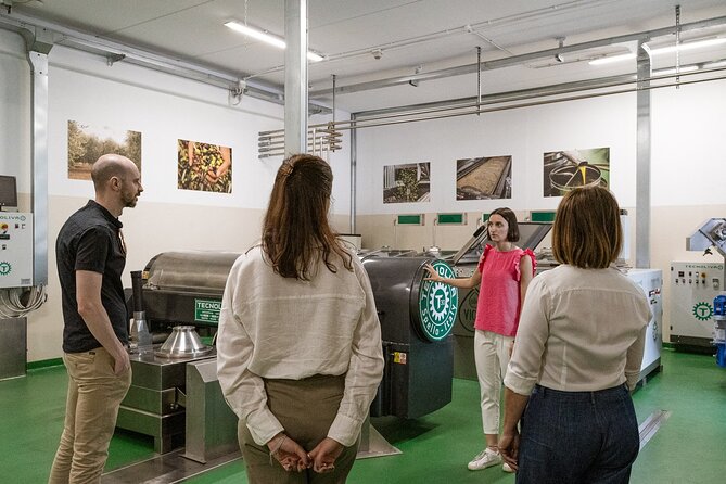 Lake Garda Olive Oil Tour and Tasting Experience - Group Size, Language, and Who Will Enjoy It
