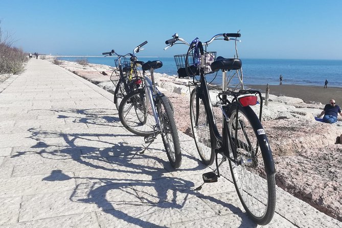 Lido Bike Tour: With a Local on the Island of Cinema - Alberoni’s dunes, pine trees, and open shore