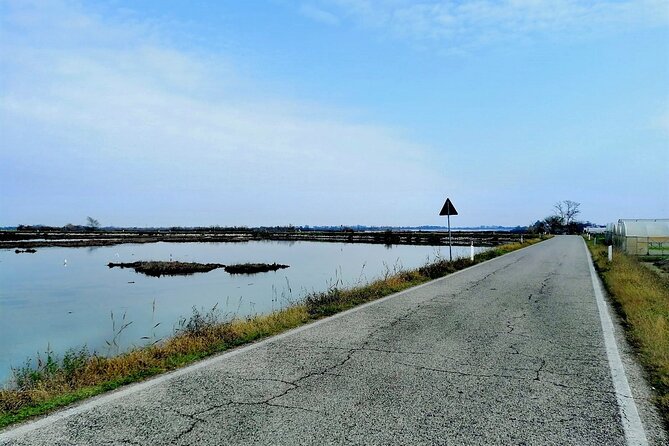Lio Piccolo: Flamingos & Birdwatching Bike Tour in the Lagoon - Flamingos in the Venetian Lagoon