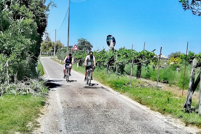 Lio Piccolo: Flamingos & Birdwatching Bike Tour in the Lagoon - Via delle Mesole and the working lagoon